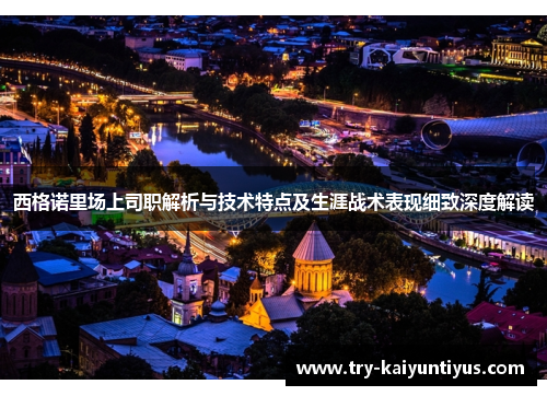 西格诺里场上司职解析与技术特点及生涯战术表现细致深度解读