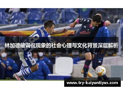 林加德被调侃现象的社会心理与文化背景深层解析