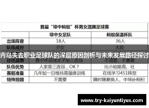 青岛失去职业足球队的深层原因剖析与未来发展路径探讨 青岛失去职业足球队的深层原因剖析与未来发展路径探讨