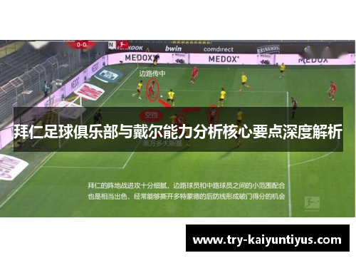 拜仁足球俱乐部与戴尔能力分析核心要点深度解析