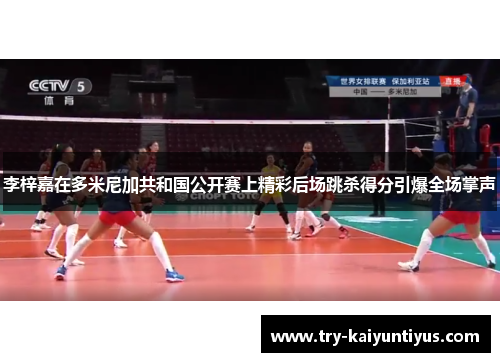 李梓嘉在多米尼加共和国公开赛上精彩后场跳杀得分引爆全场掌声 李梓嘉在多米尼加共和国公开赛上精彩后场跳杀得分引爆全场掌声